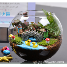 Różne typy terrarium z przezroczystym szklanym wazonem